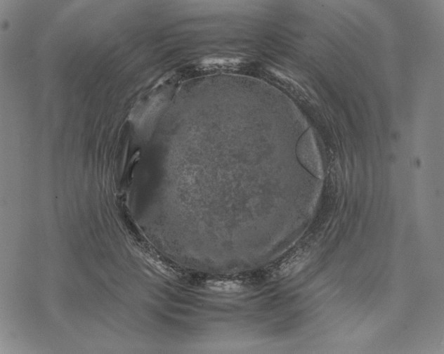 X0000074030649200609111715