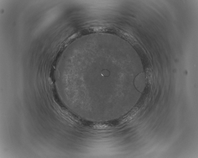 X0000074030650200609111715