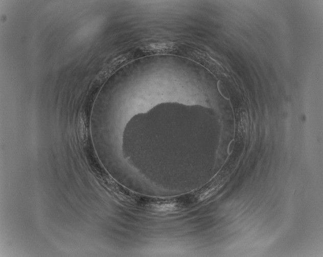 X0000074030651200609111715