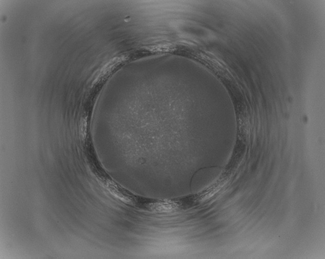 X0000074030652200609111715