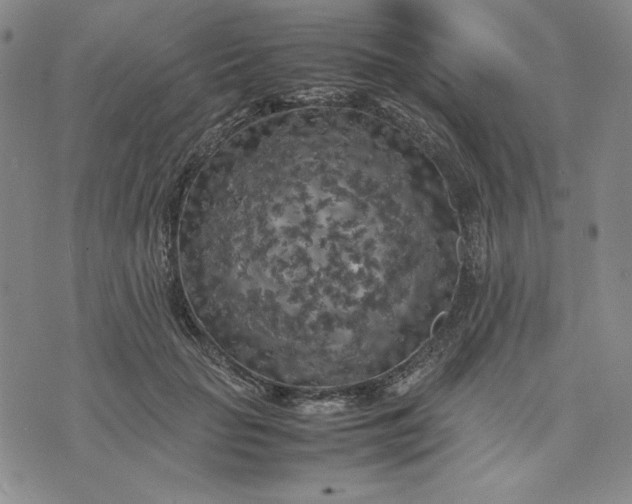 X0000074030653200609111715