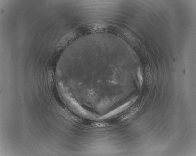 X0000074030654200609111715