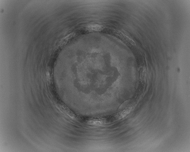 X0000074030655200609111715