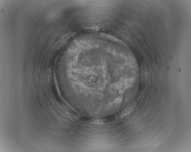 X0000074030656200609111715