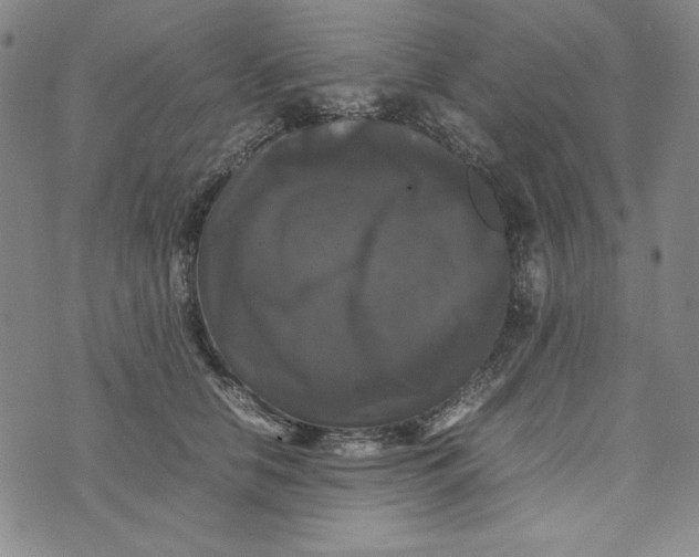 X0000074030658200609111715