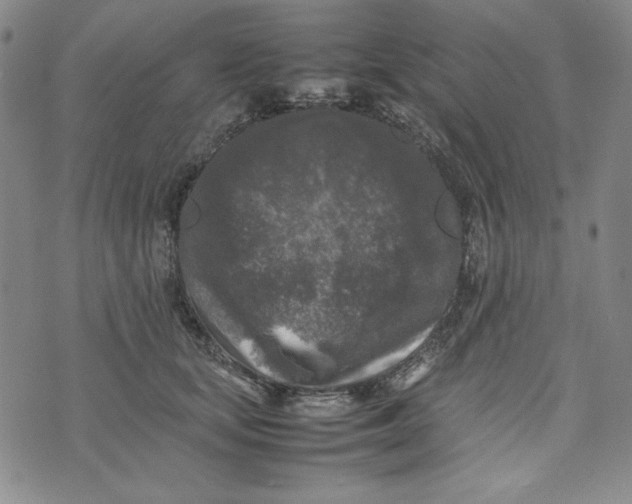 X0000074030659200609111715