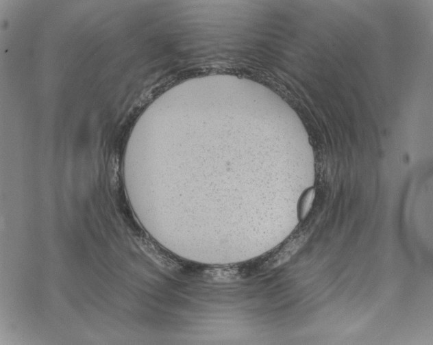 X0000074030660200609111715