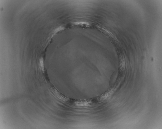 X0000074030661200609111715