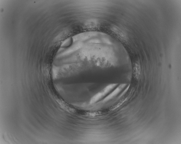 X0000074030662200609111715