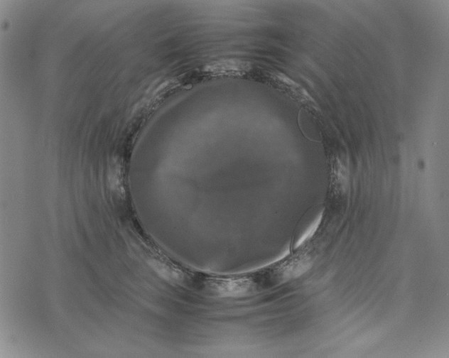 X0000074030663200609111715