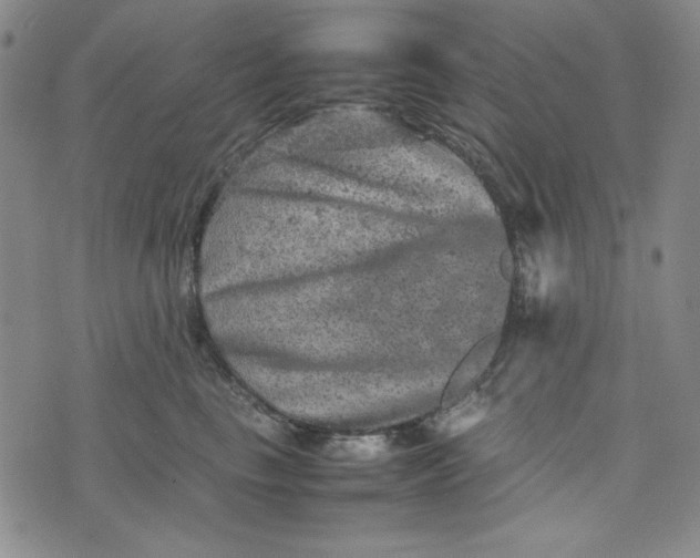 X0000074030665200609111715