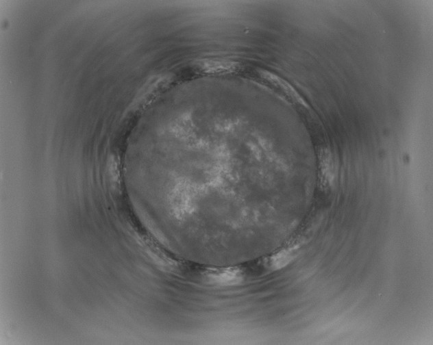 X0000074030667200609111715