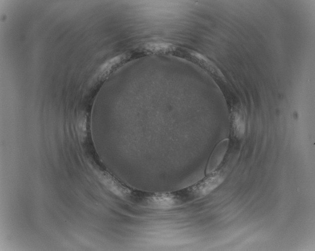 X0000074030668200609111715