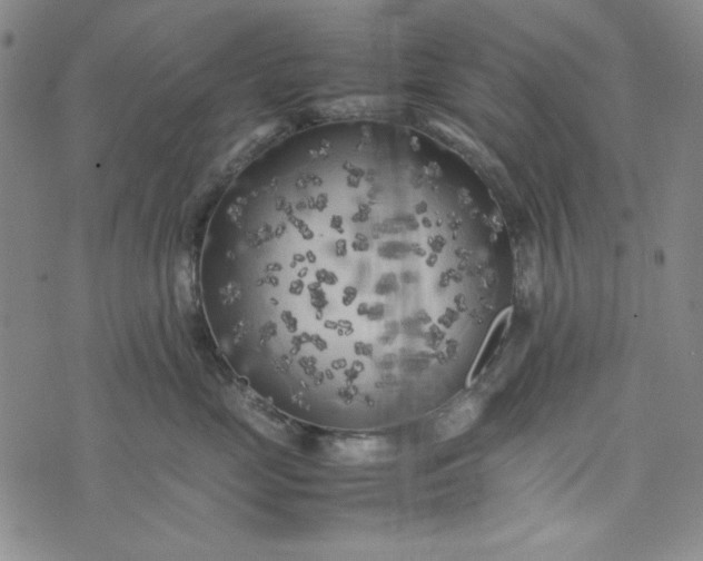 X0000074030669200609111715