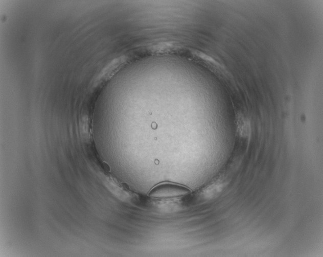 X0000074030670200609111715