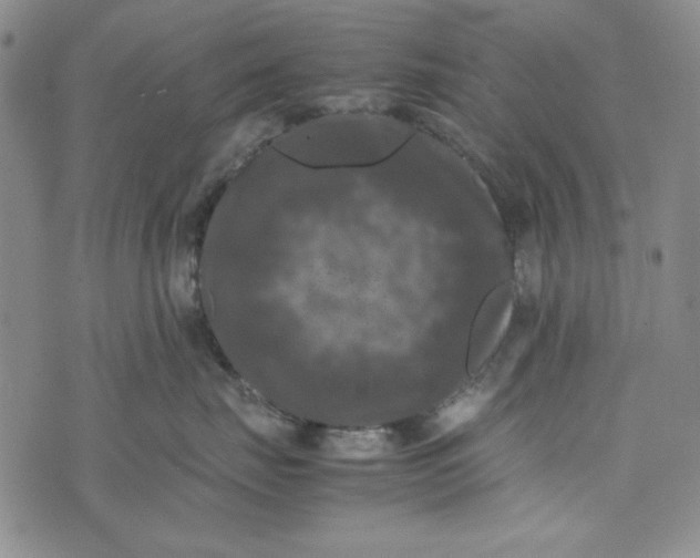 X0000074030671200609111715