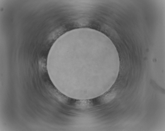 X0000074030672200609111715