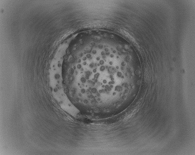 X0000074030673200609111714