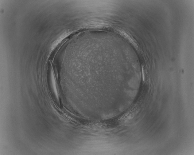 X0000074030675200609111714