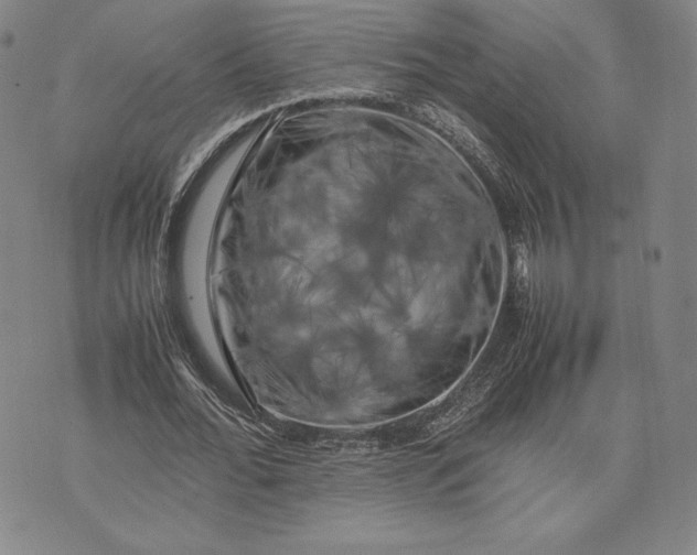 X0000074030676200609111714