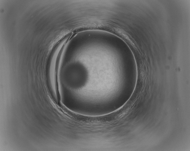 X0000074030677200609111714