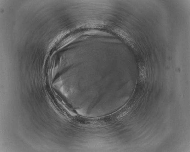 X0000074030678200609111714