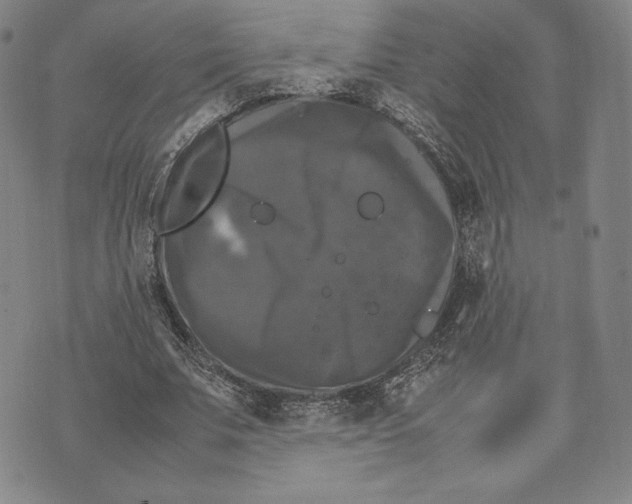 X0000074030679200609111714