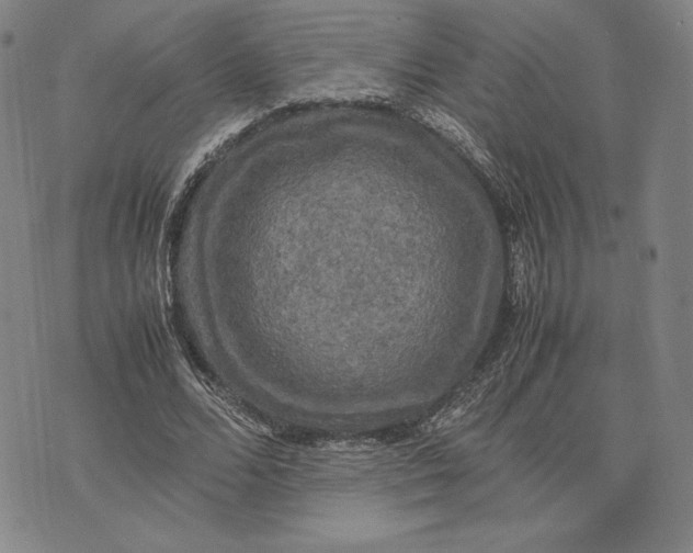 X0000074030680200609111714