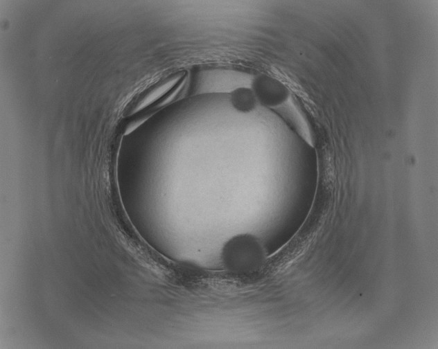 X0000074030681200609111714