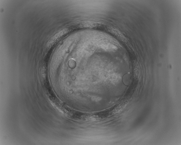 X0000074030683200609111714