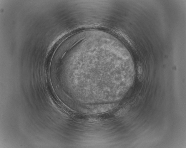 X0000074030684200609111714