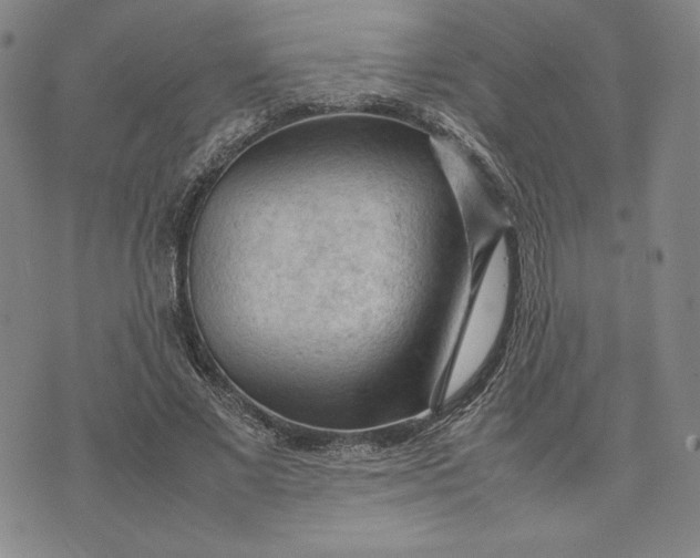 X0000074030685200609111714