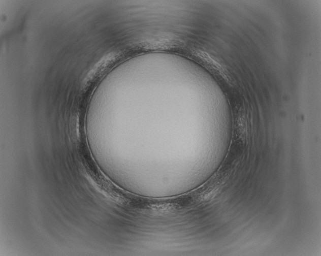 X0000074030686200609111714