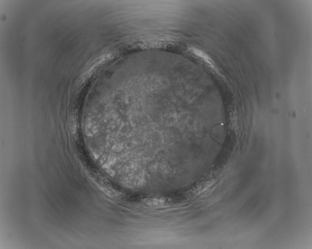 X0000074030687200609111714