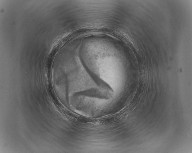 X0000074030688200609111714