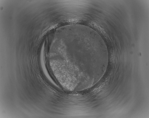 X0000074030689200609111714