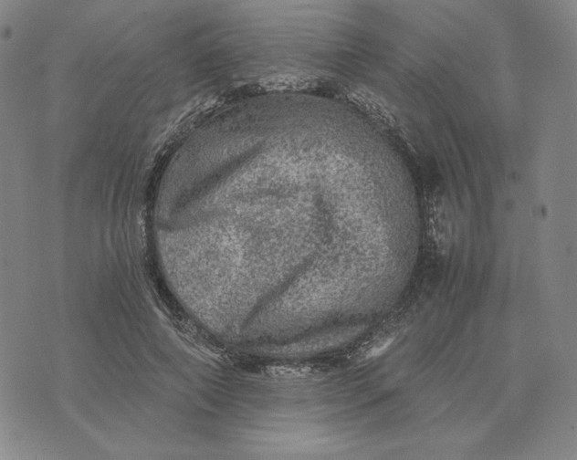 X0000074030690200609111714