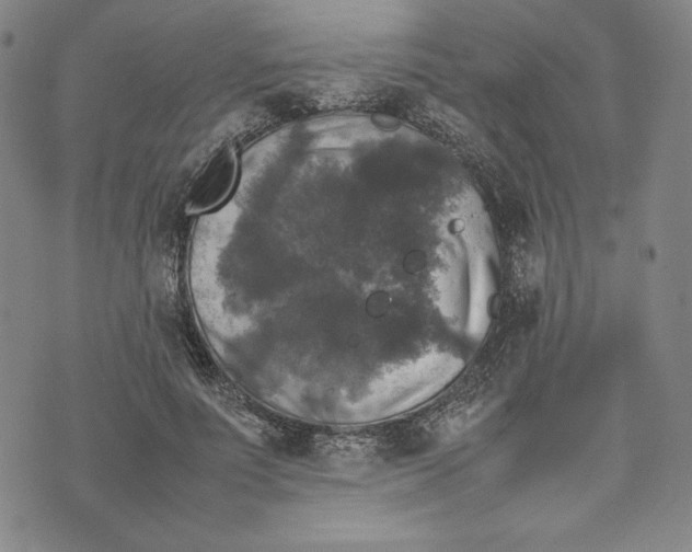 X0000074030691200609111714