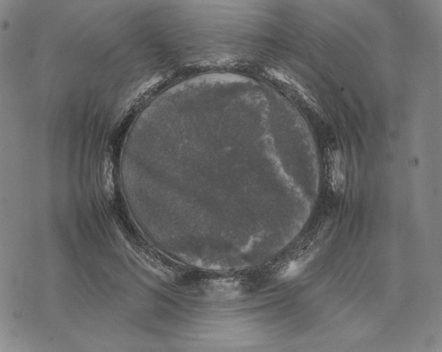 X0000074030692200609111714