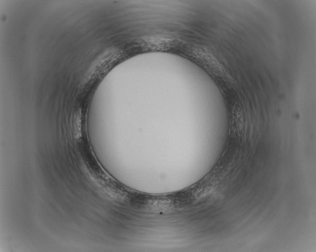 X0000074030694200609111714