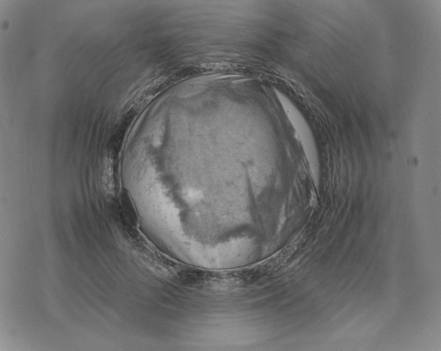 X0000074030696200609111714