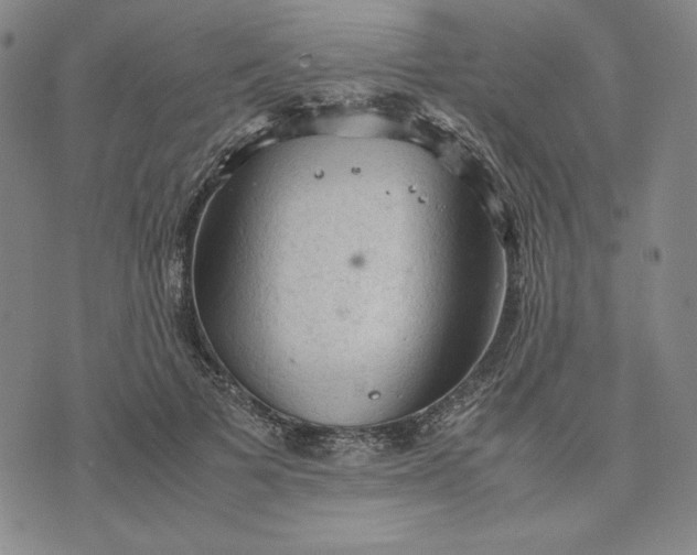 X0000074030697200609111714