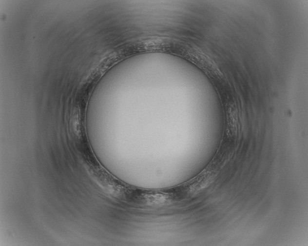 X0000074030698200609111714