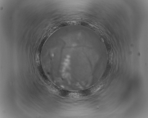 X0000074030699200609111714