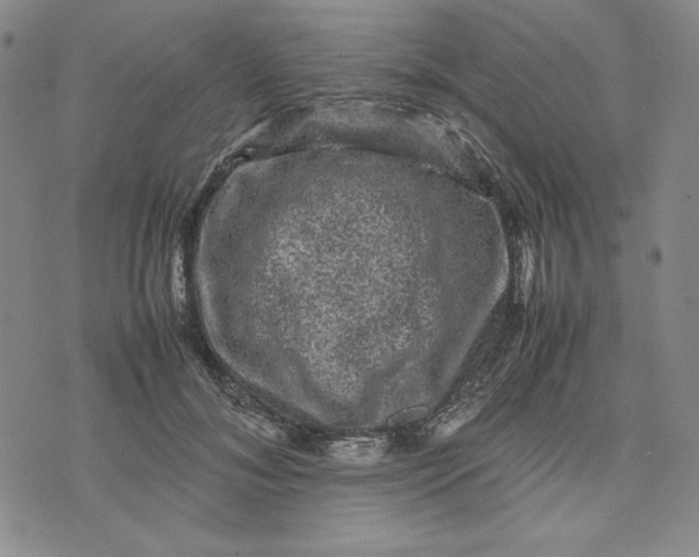 X0000074030700200609111714