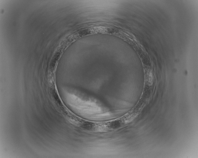 X0000074030701200609111714