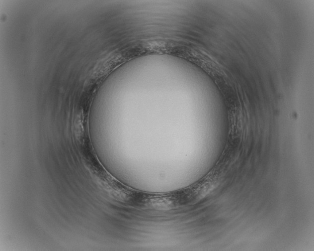 X0000074030702200609111714