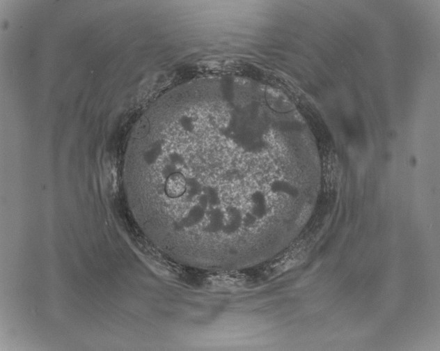 X0000074030703200609111714