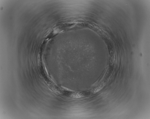 X0000074030704200609111714