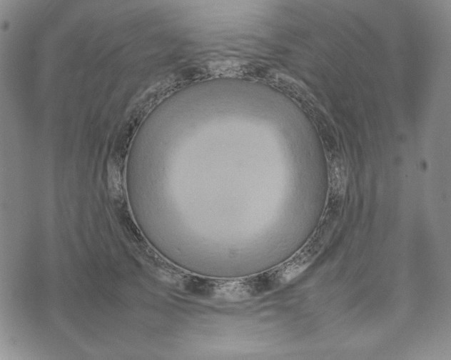 X0000074030705200609111714